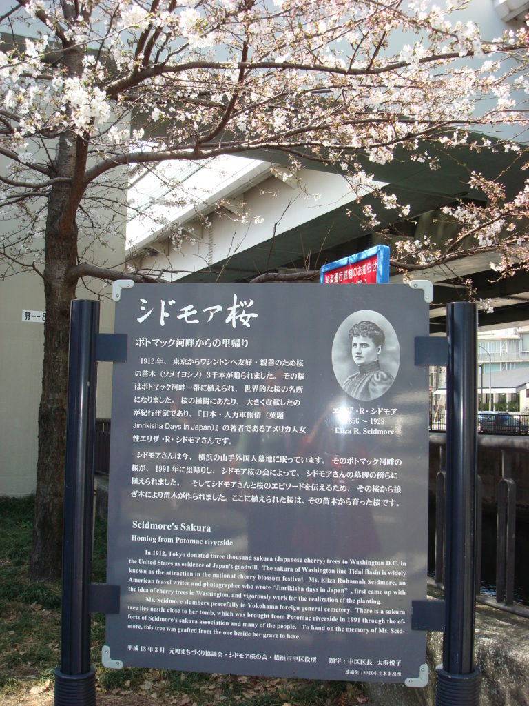 Scidmore plaque Motomachi Yokohama